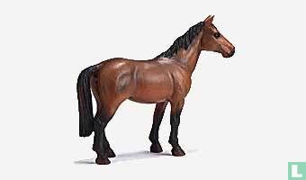 Trakehner Mare