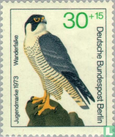 Rapaces