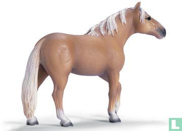 Palomino Stallion