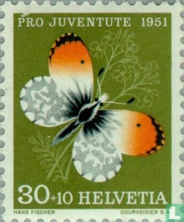 Oranjetipje