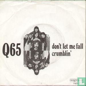 Don't Let Me Fall