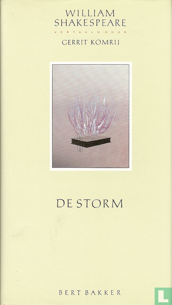 De storm 