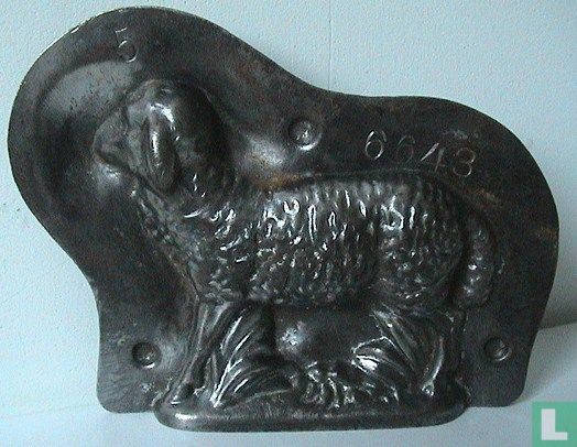 Schaap