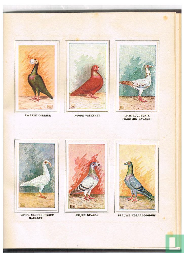 Onze duiven in woord en beeld  