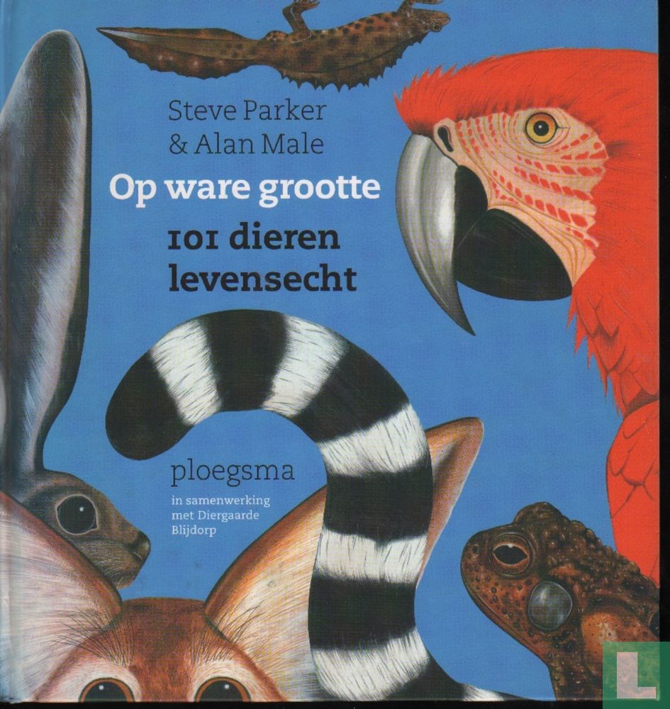 Op ware grootte
