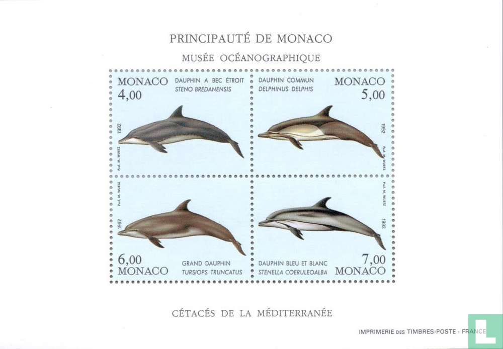 Dolphins