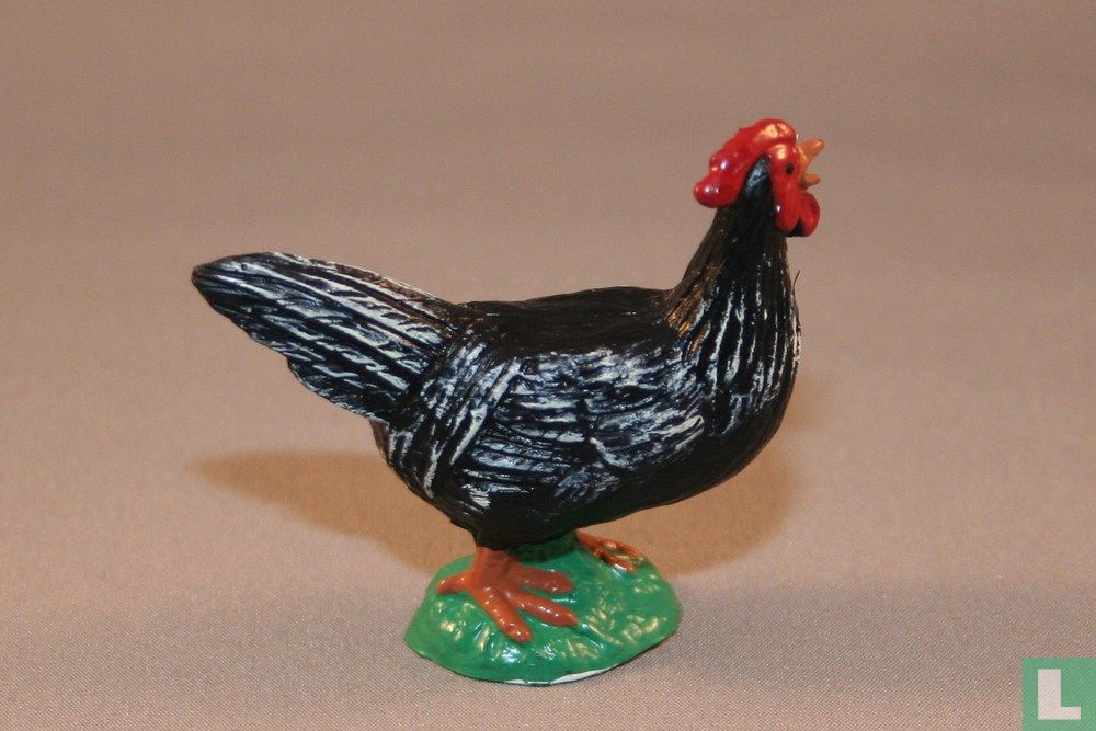 Schwarze Henne