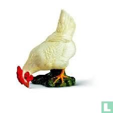 Kip wit pikkend