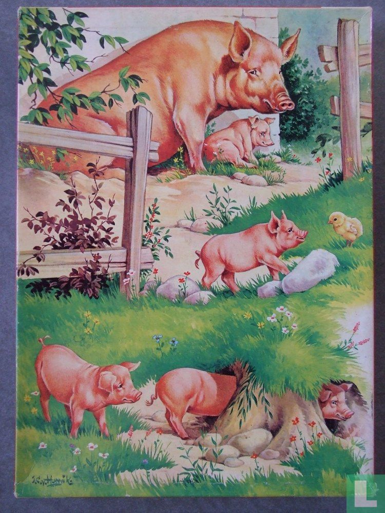 Varkens