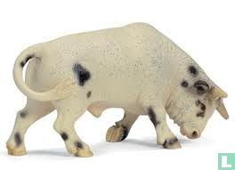 Rodeo Stier