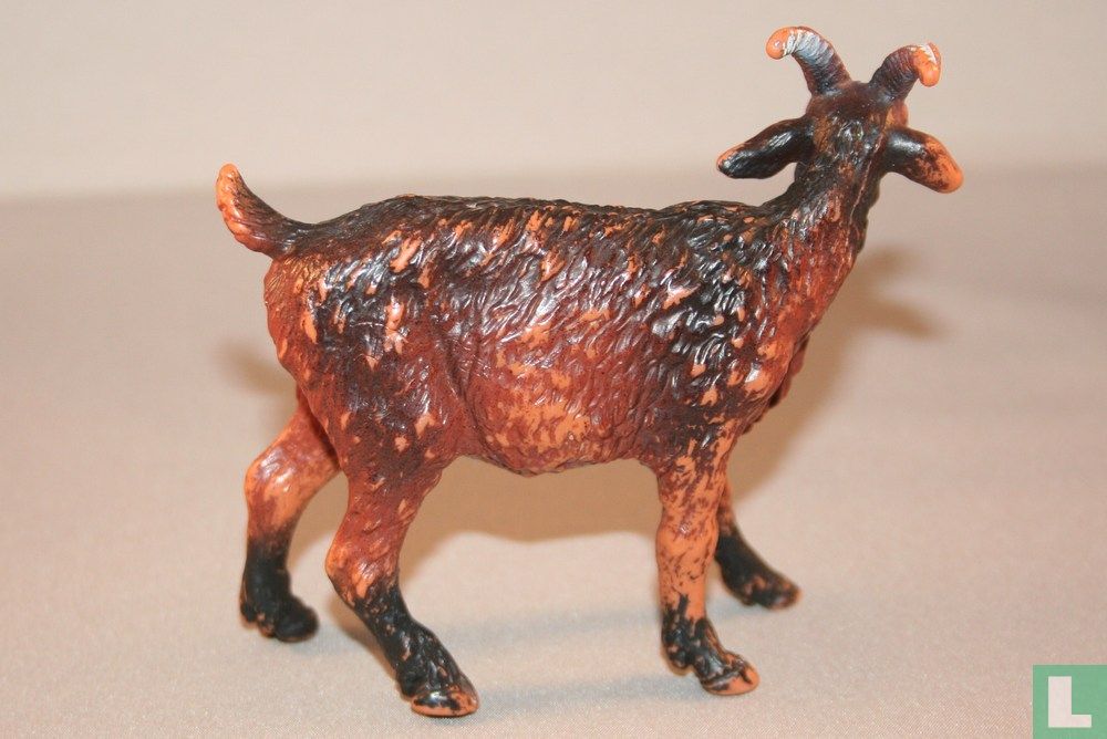 Bok
