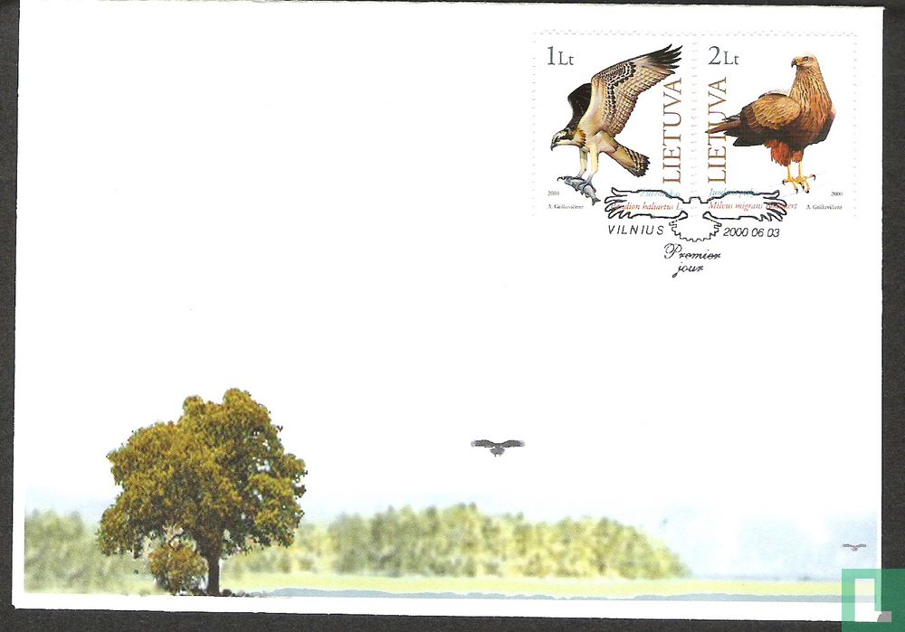 Raubvögel