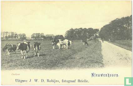 Oudjaar