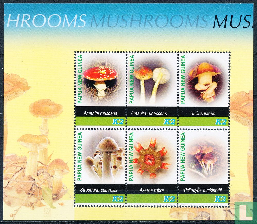 Champignons