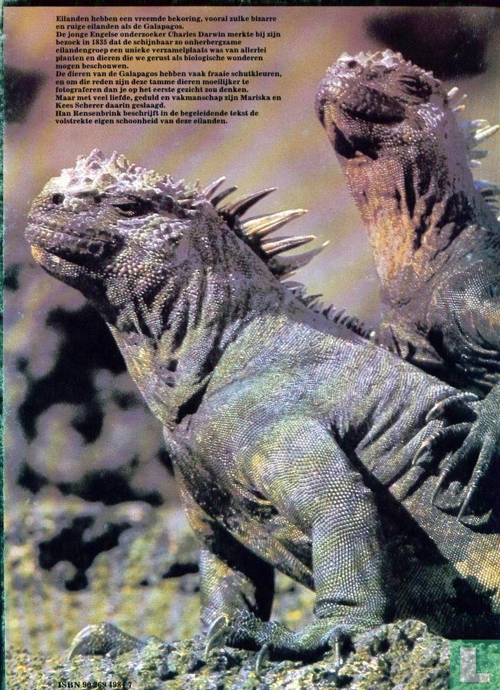 Galapagos 