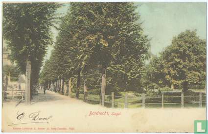 Singel