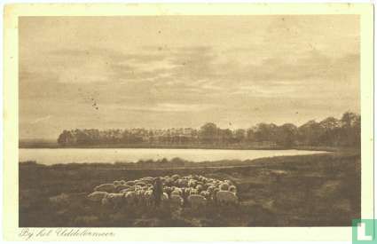 Aan het Uddelermeer