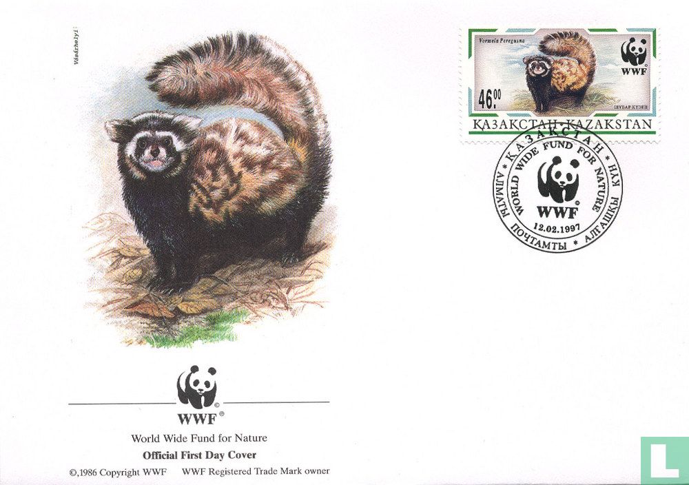 Spotted polecat
