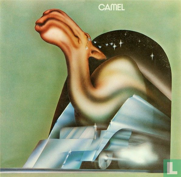 Camel