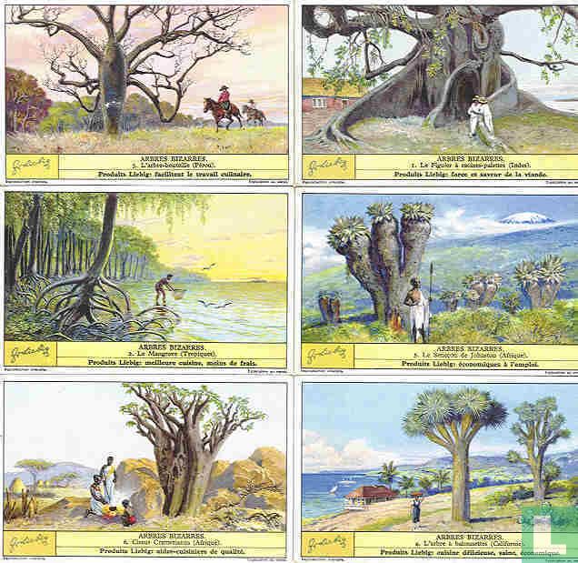 Arbres bizarres