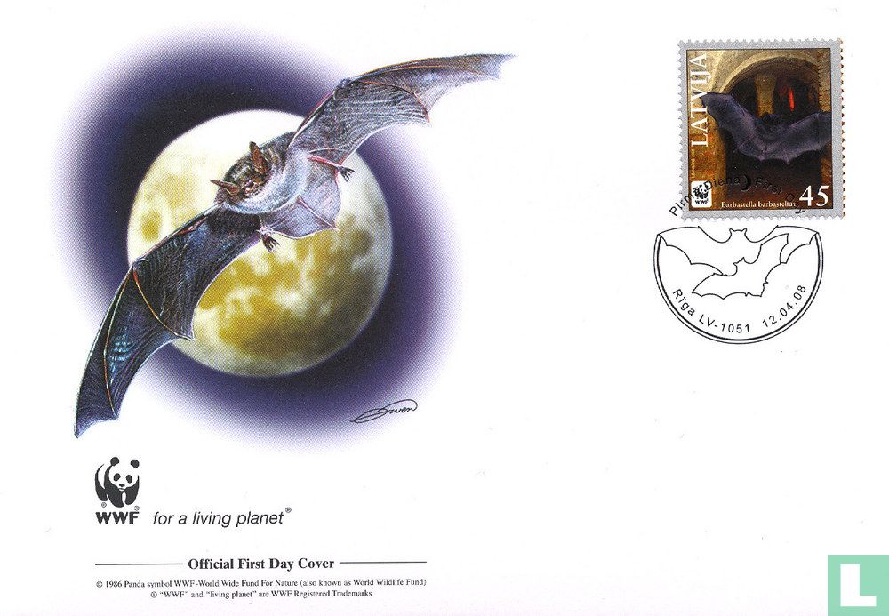 Mopsfledermaus