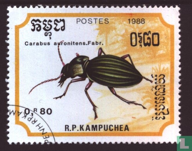 Insectes