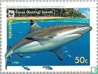 WWF - Requiem Sharks