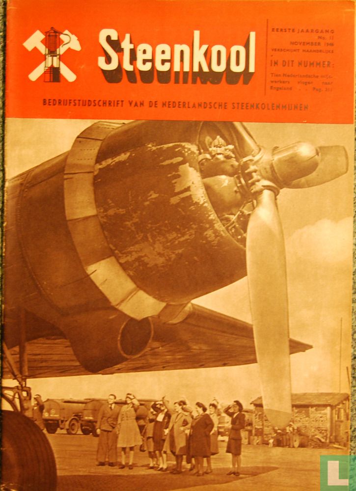 Steenkool 11