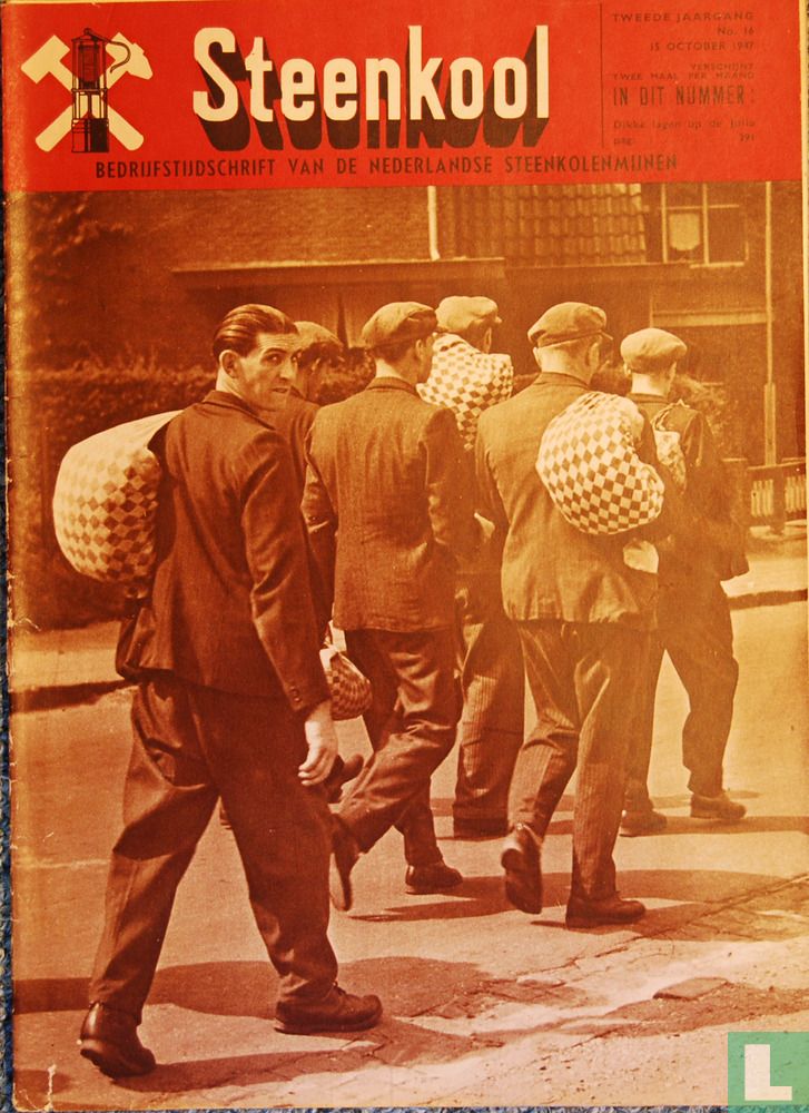 Steenkool 16