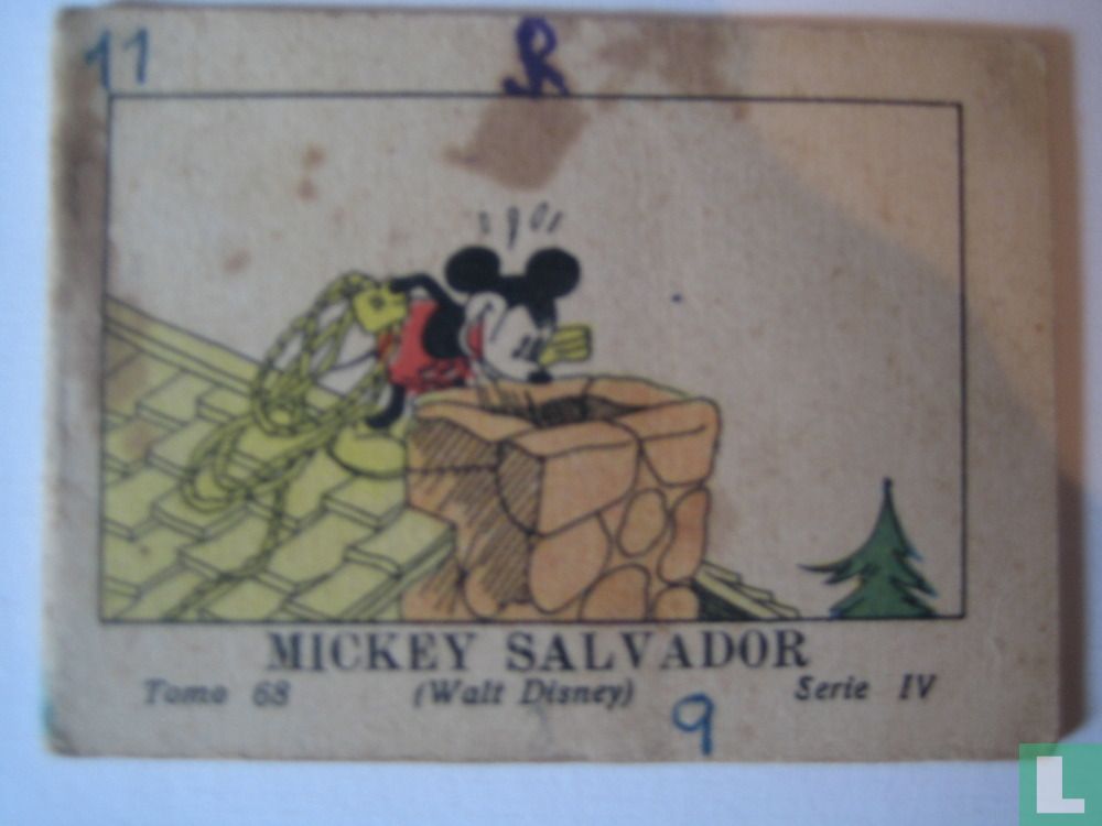 Mickey salvador