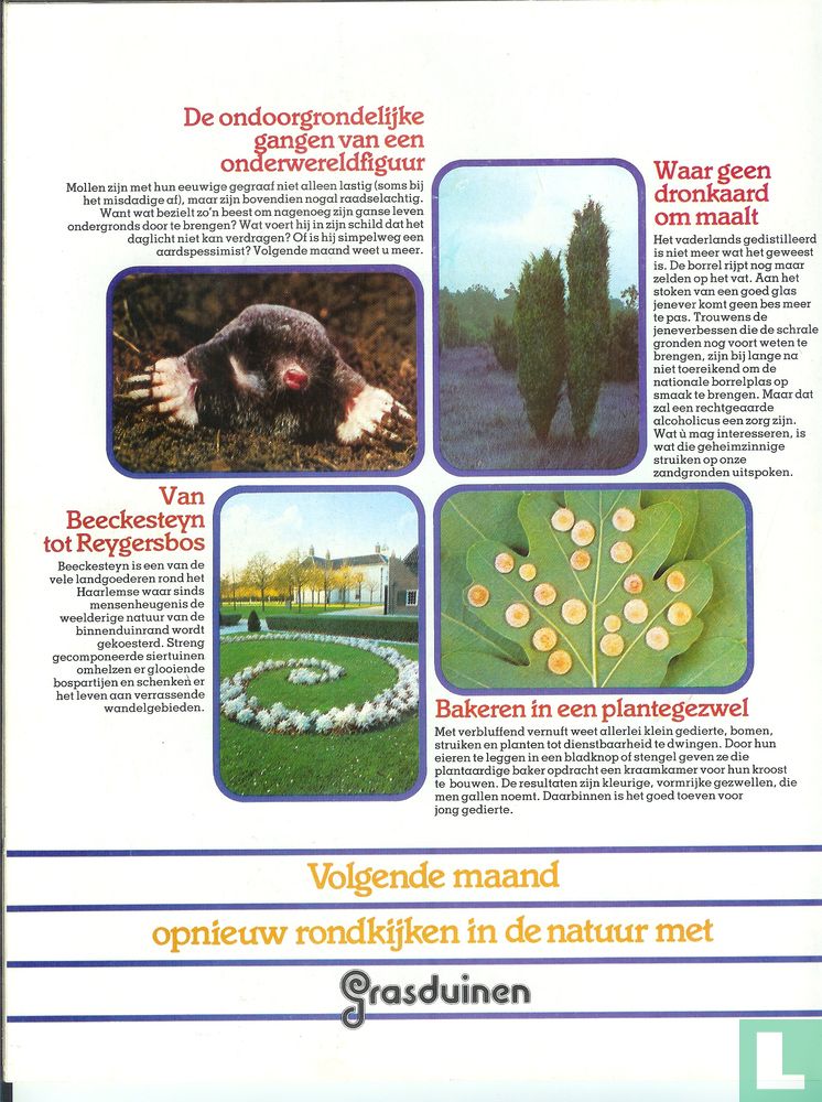 Grasduinen 10