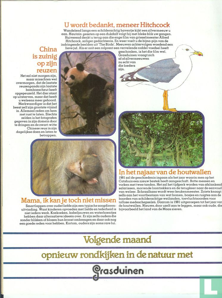 Grasduinen 4