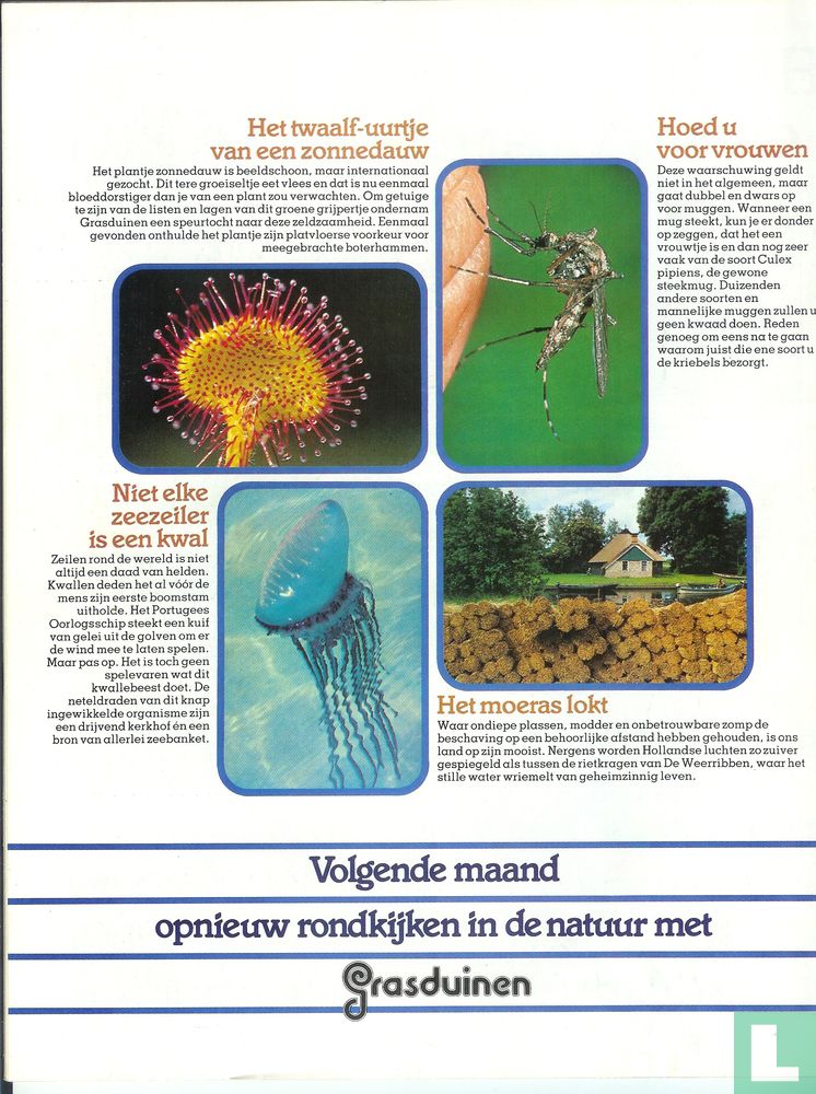 Grasduinen 7