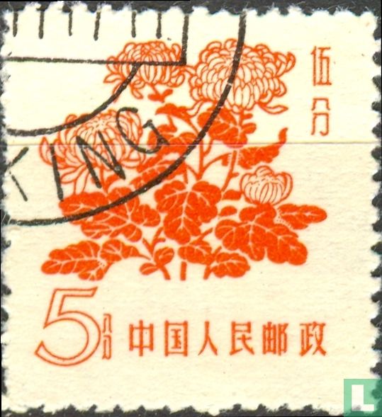 Chrysanthème
