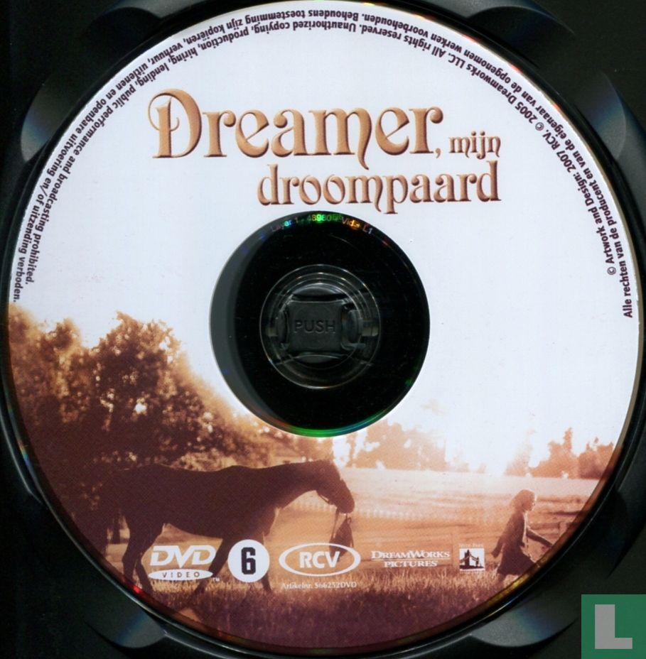 Dreamer, mijn droompaard