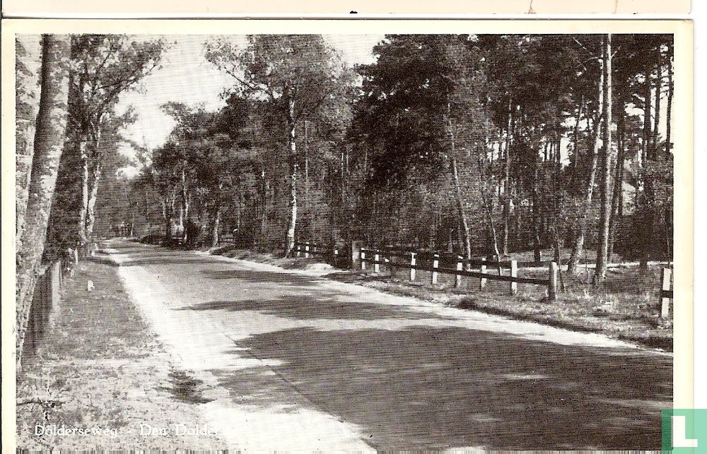 Dolderseweg - Den Dolder