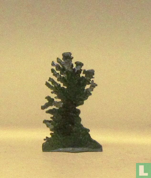 Arbuste