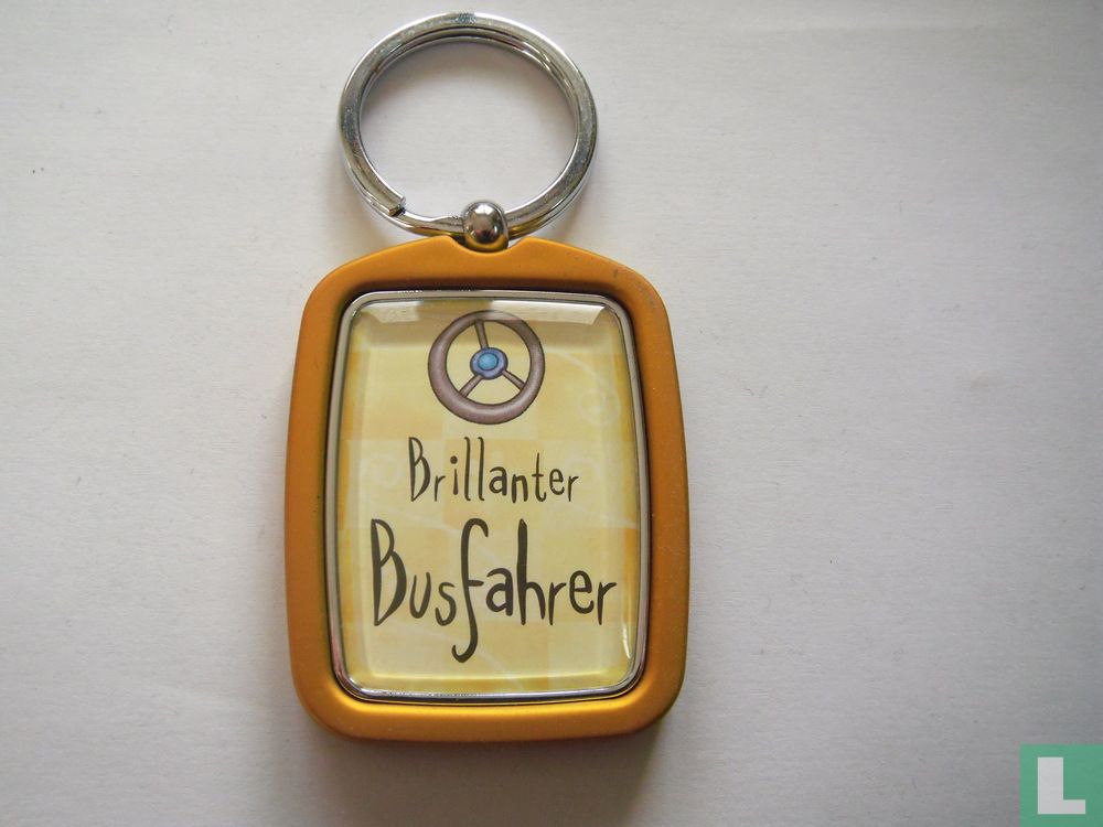 Brillanter Busfaher