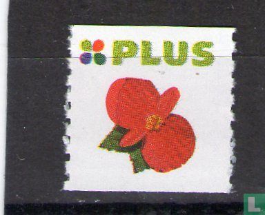 Plus Beetpflanzen Stempel (Blumen)
