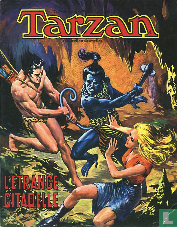 L’etrange citadelle