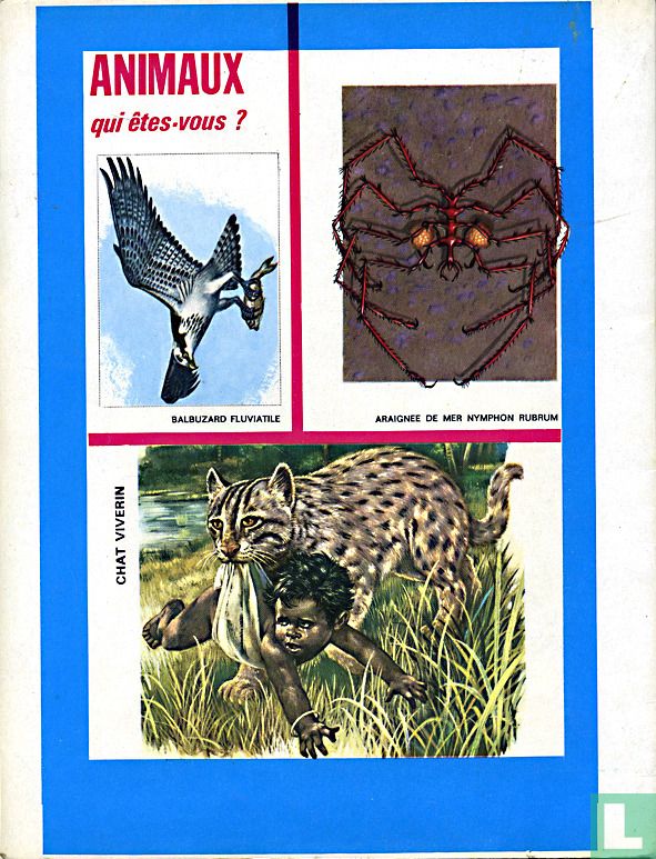 Tarzan 41