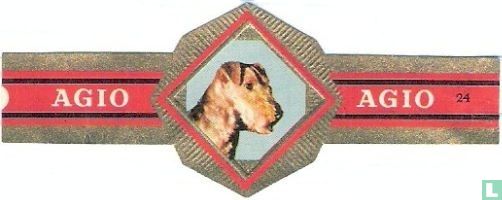 [Welsh Terrier]