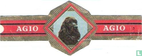 [Ameril. Cock. Span.]