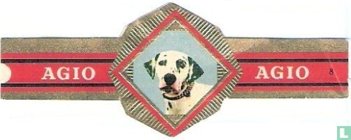 [Dalmatische Hond]