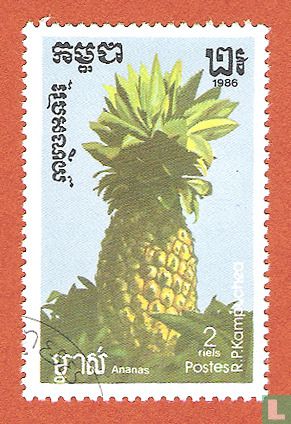 Tropical Fruit