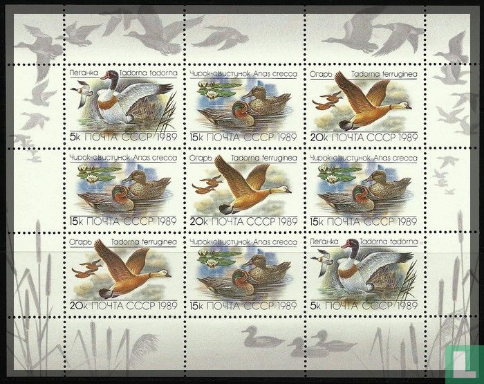 Canards
