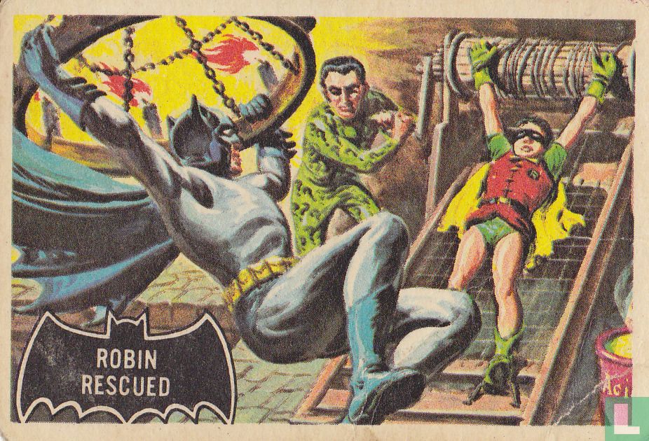 Robin rescued