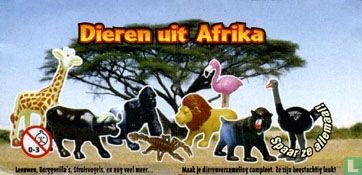 Gorilla