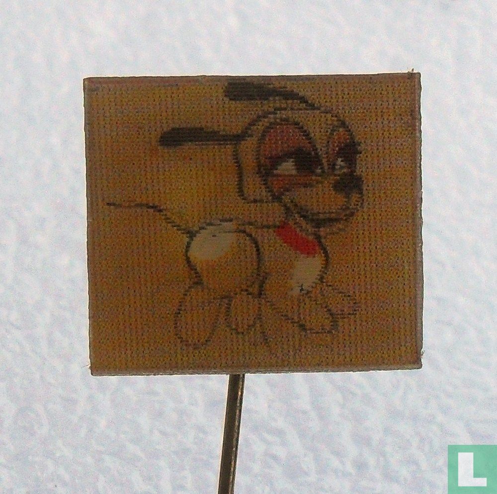Chien en cours