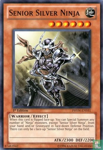 Senior Silver Ninja